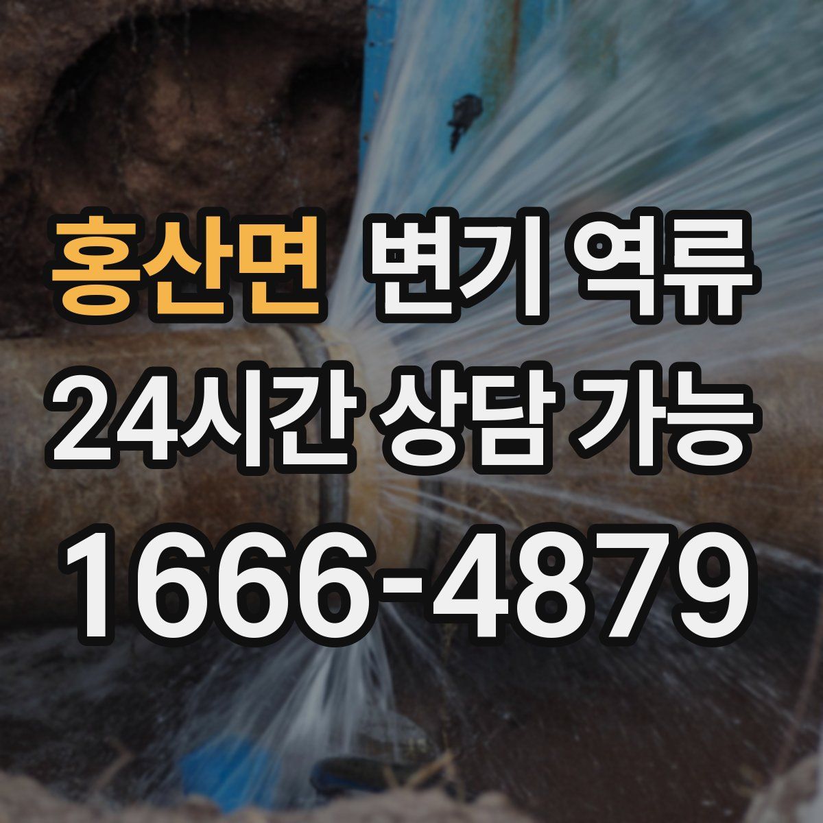 홍산면 변기 역류