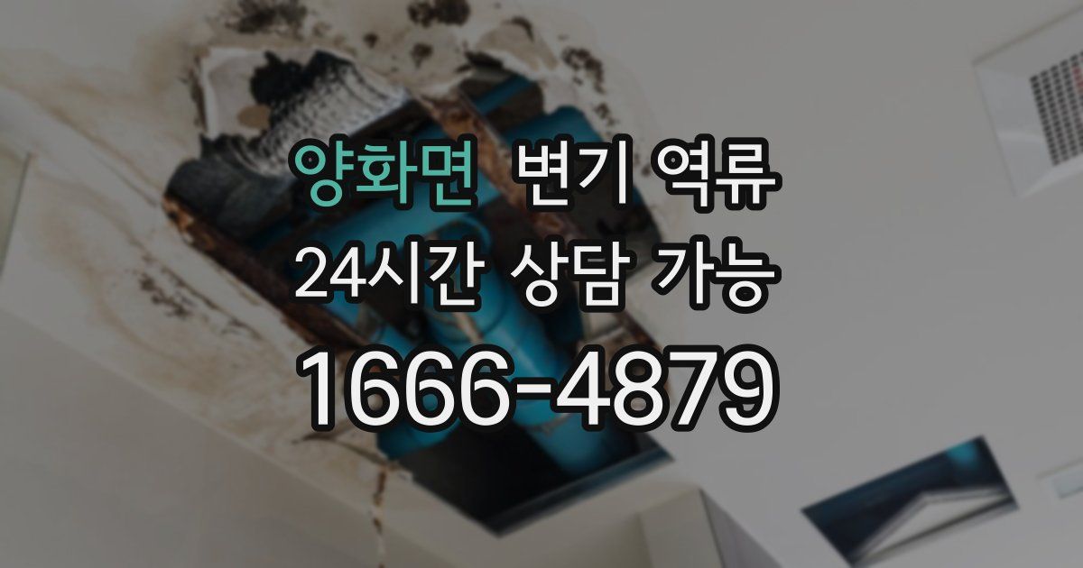 양화면 변기 역류