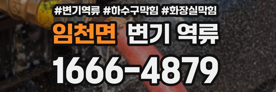 임천면 변기 역류