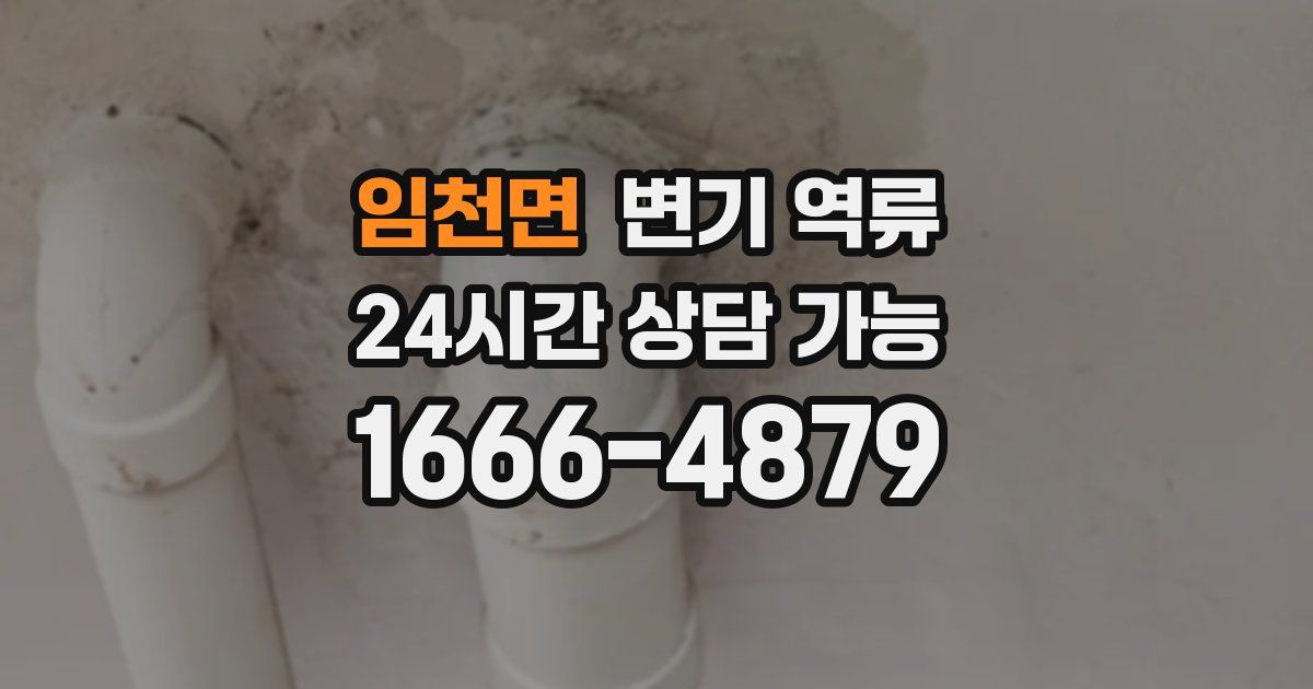 임천면 변기 역류