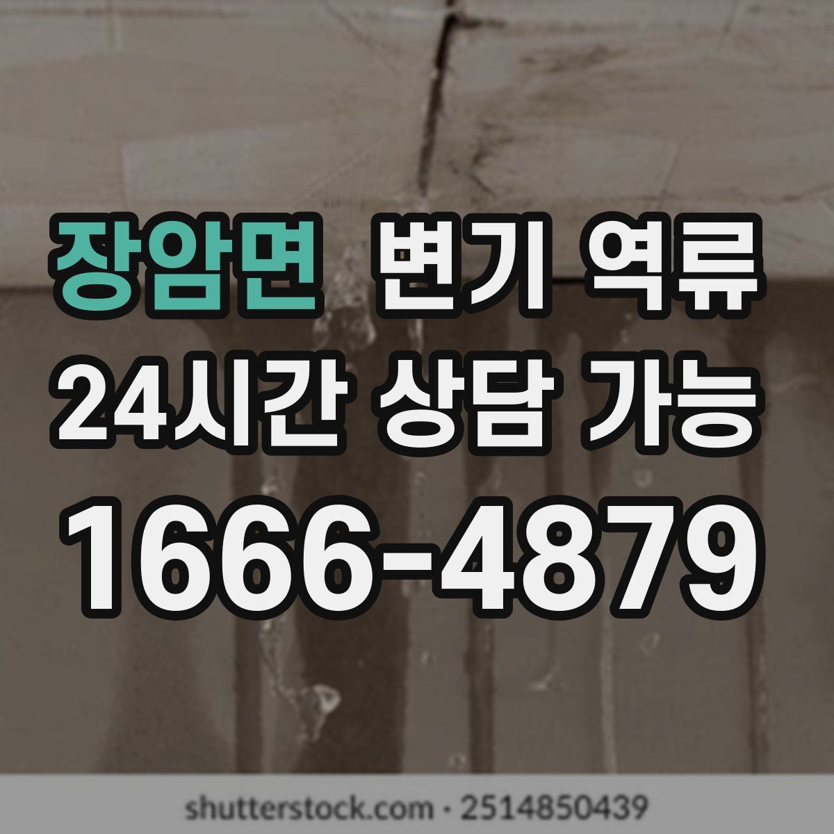 장암면 변기 역류