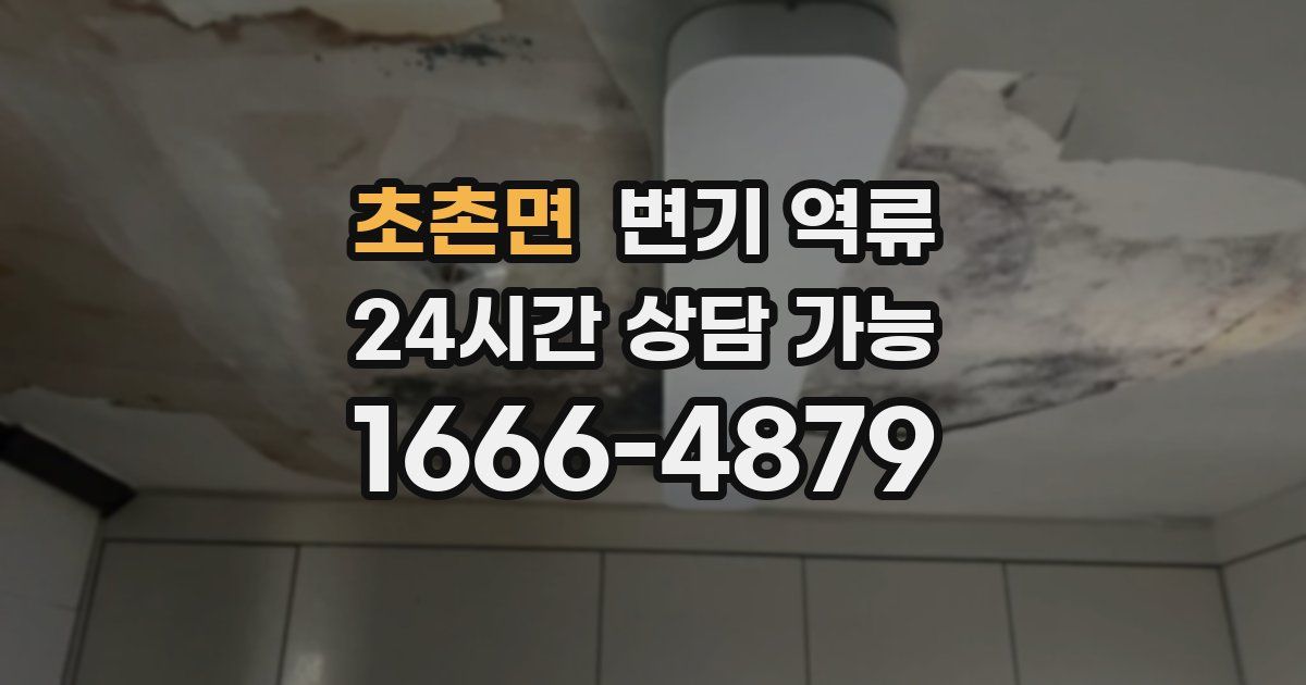 초촌면 변기 역류