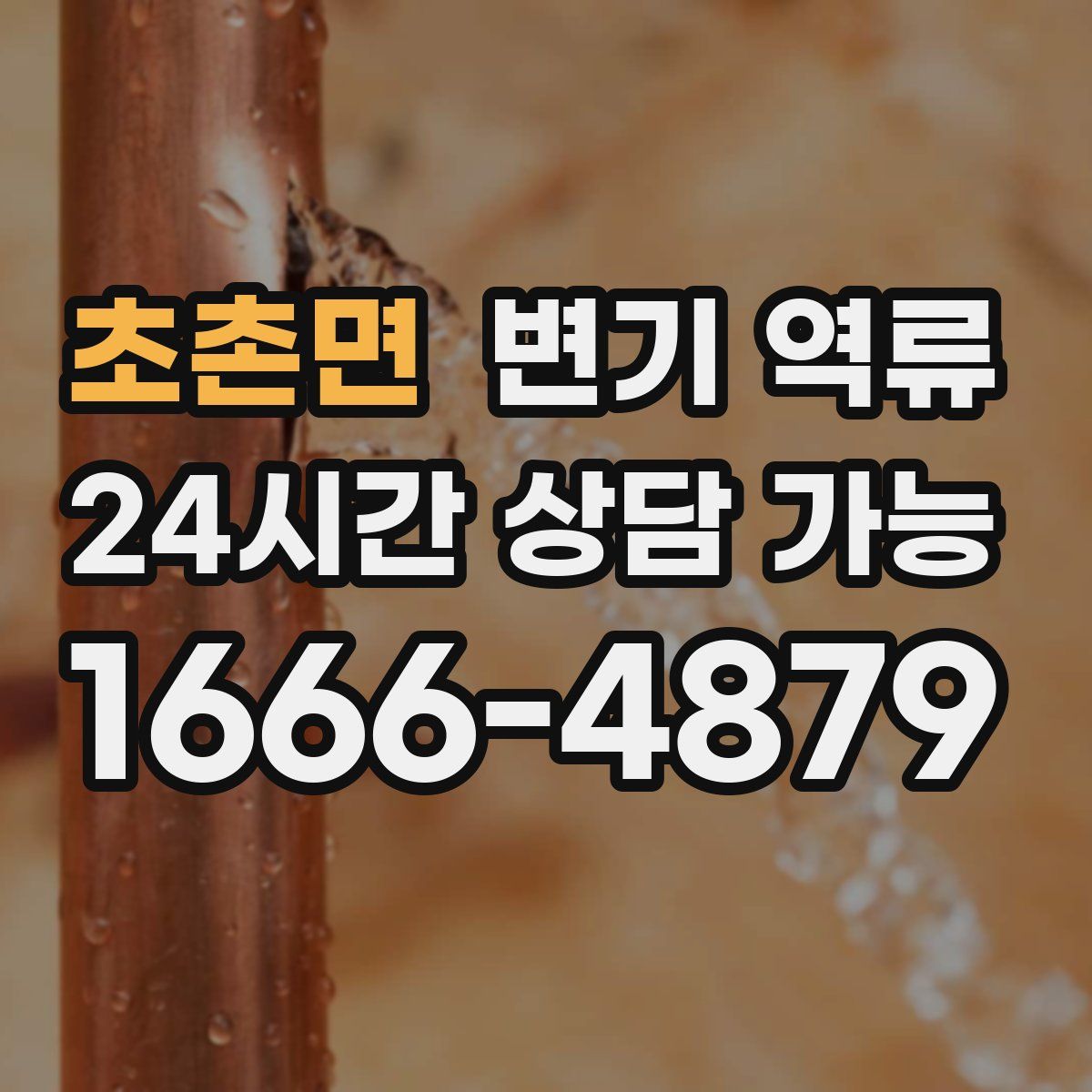 초촌면 변기 역류