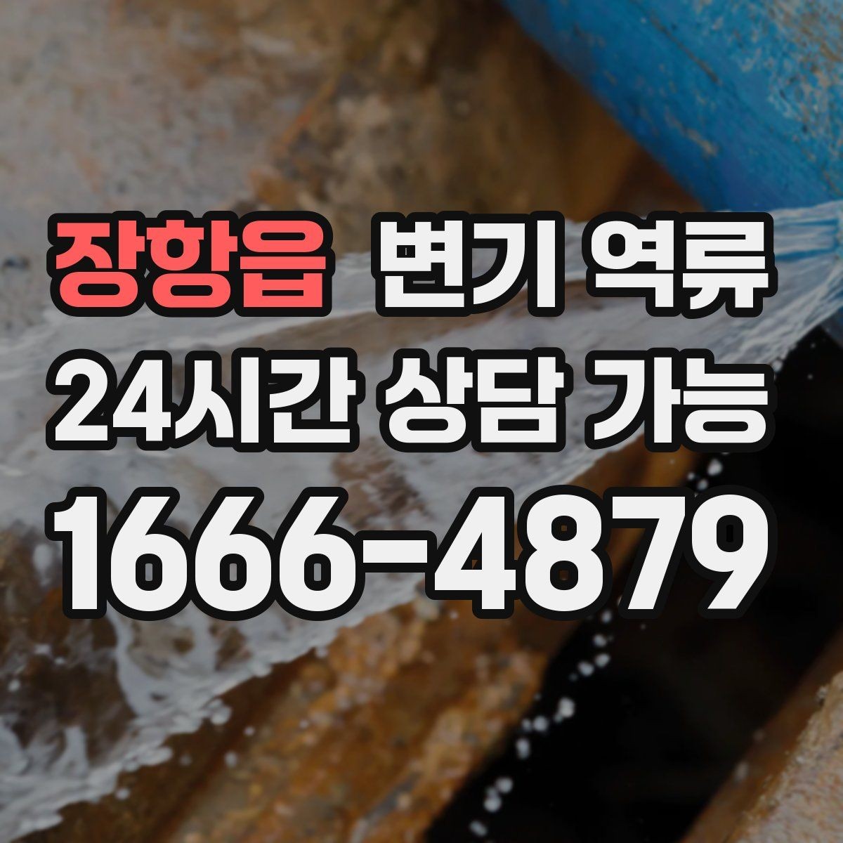 장항읍 변기 역류 악화되기 전에 연락해야 하는 이유