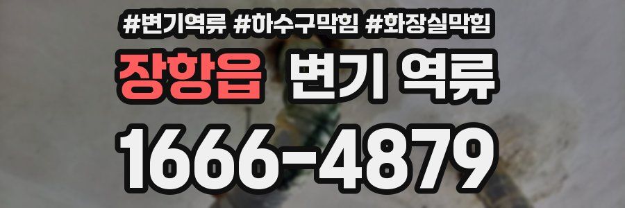 장항읍 변기 역류