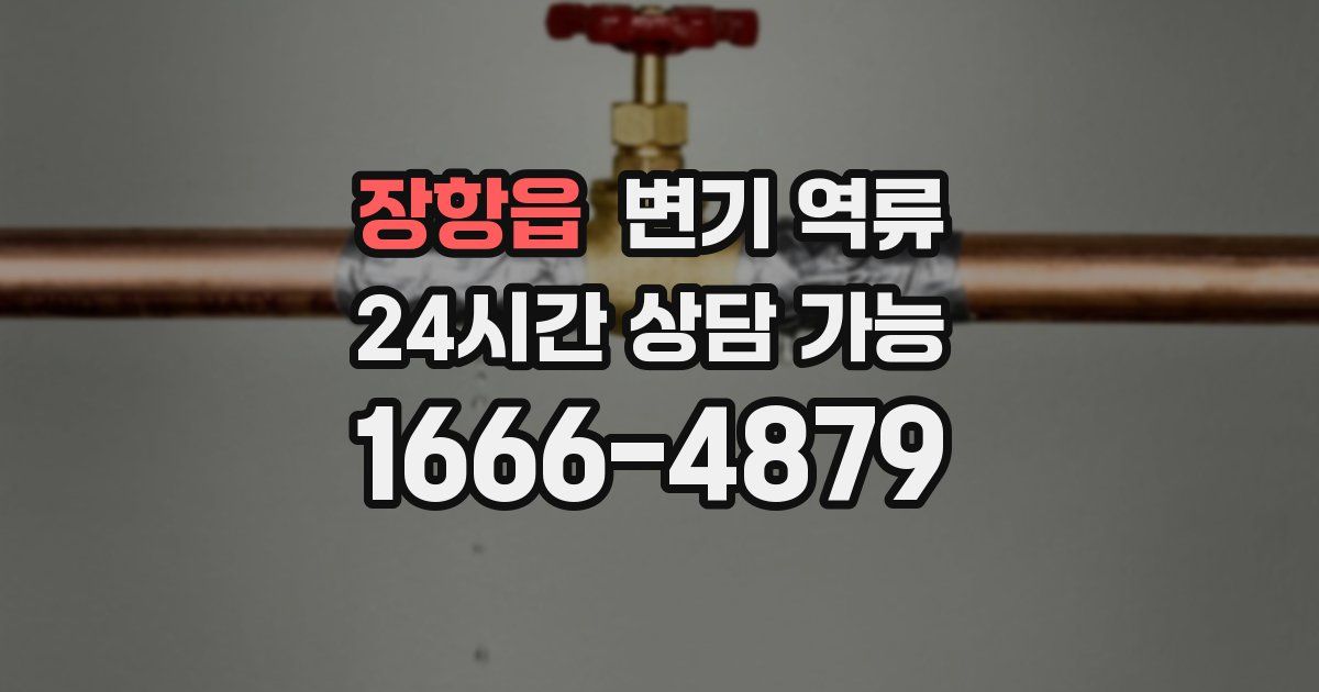 장항읍 변기 역류