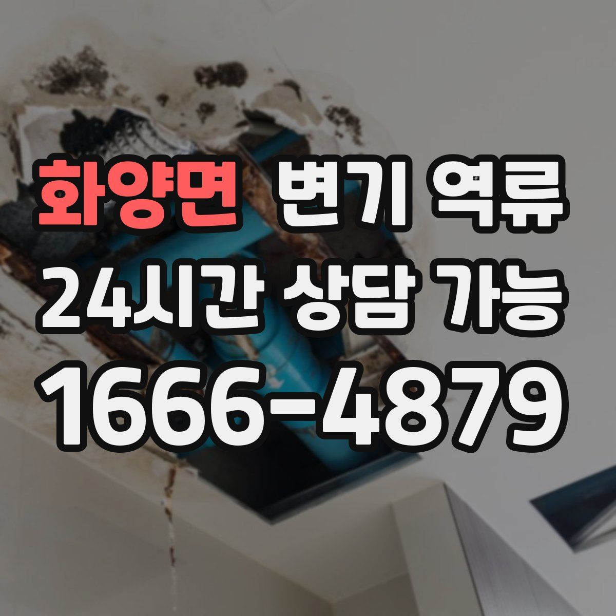 화양면 변기 역류