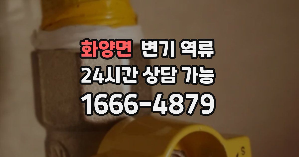 화양면 변기 역류