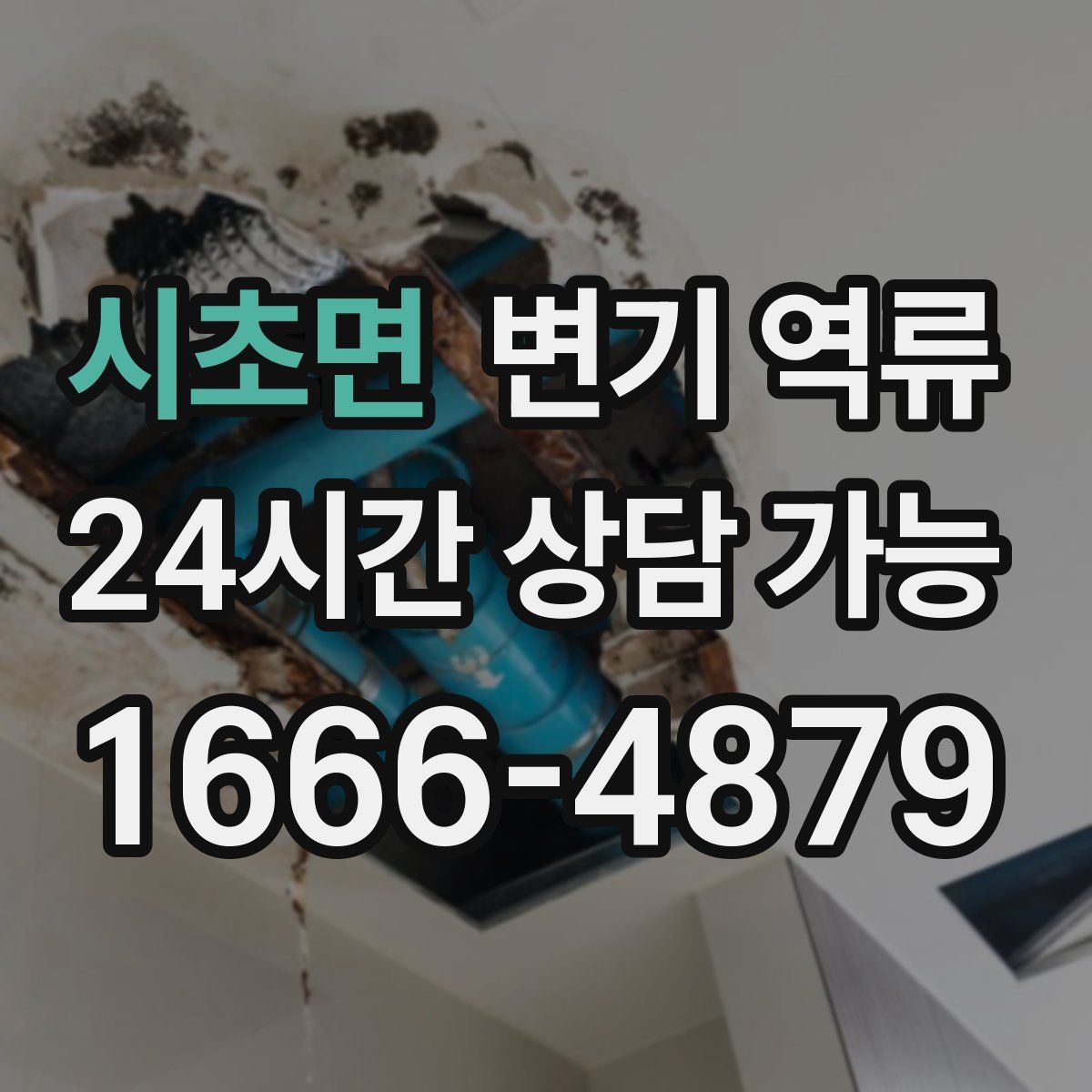 시초면 변기 역류