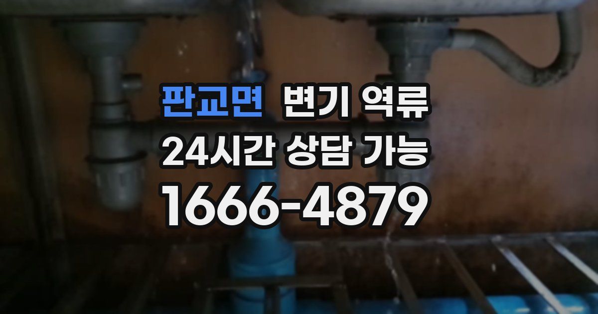 판교면 변기 역류