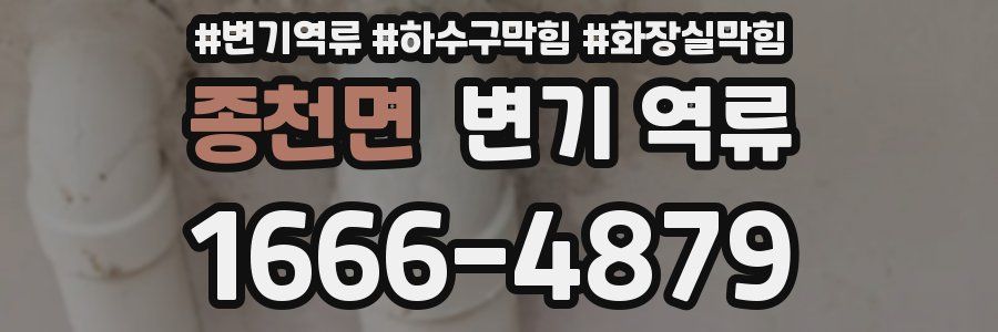 종천면 변기 역류