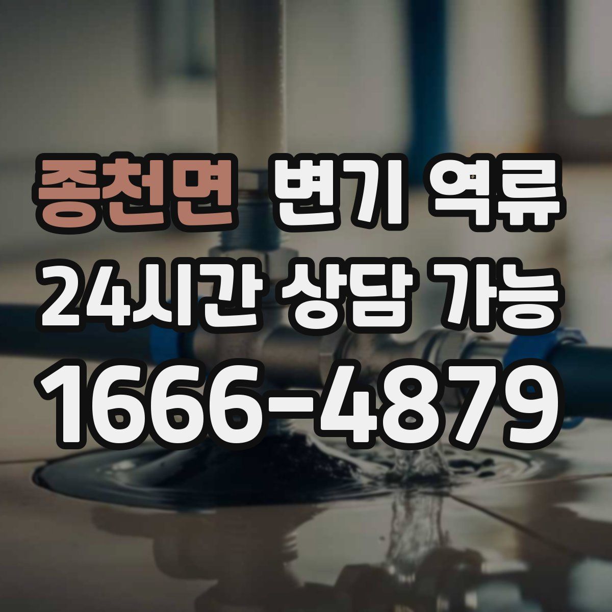 종천면 변기 역류