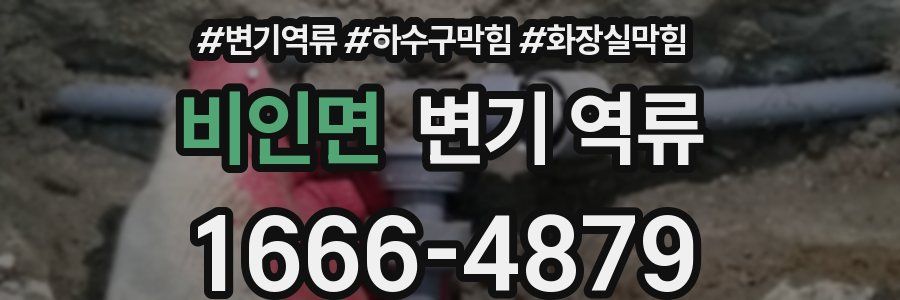 비인면 변기 역류