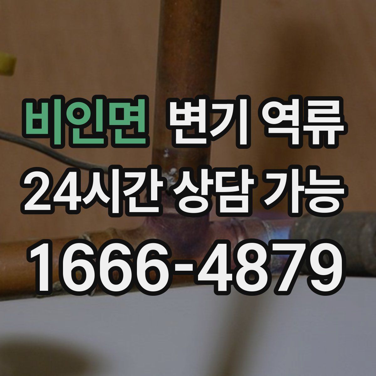 비인면 변기 역류