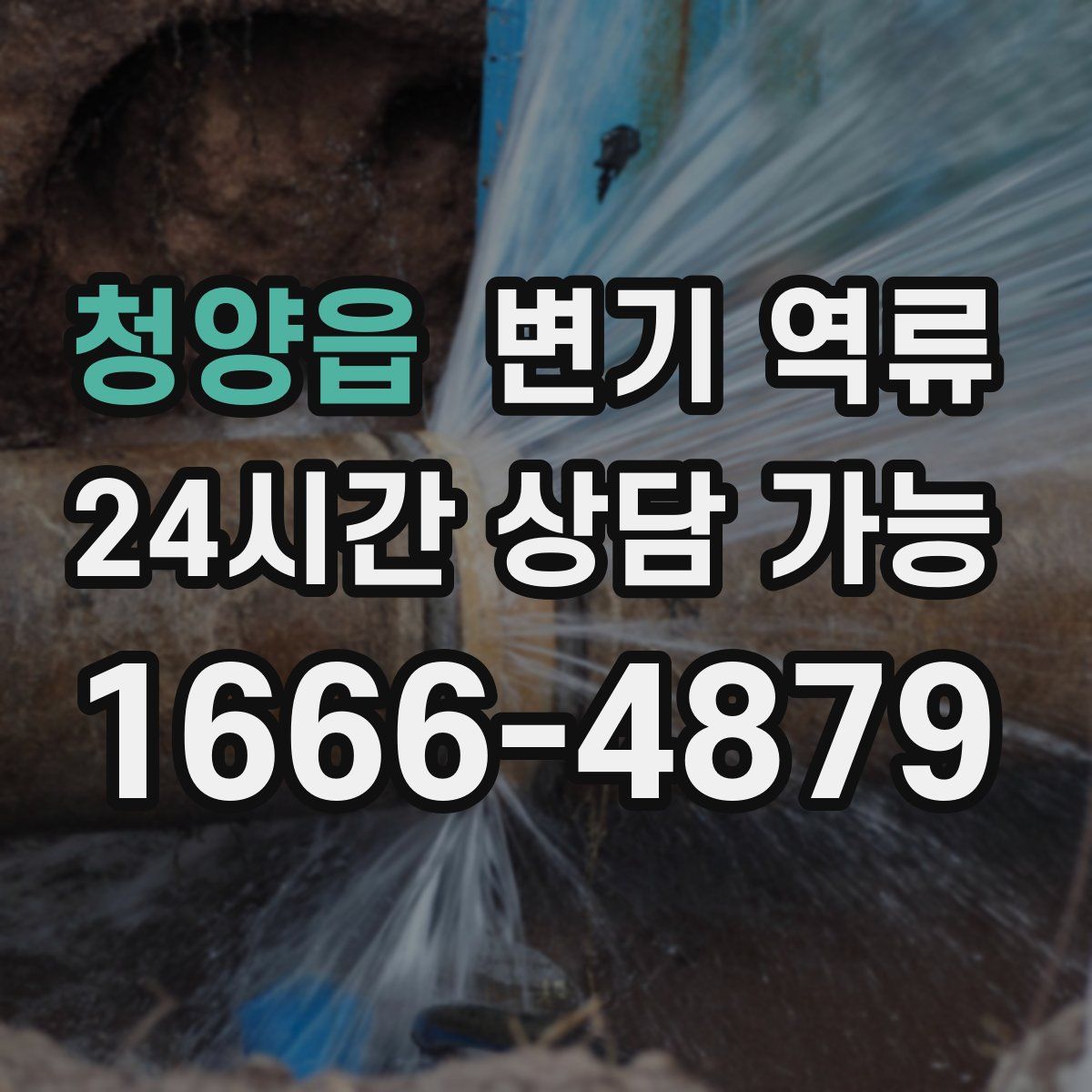 청양읍 변기 역류