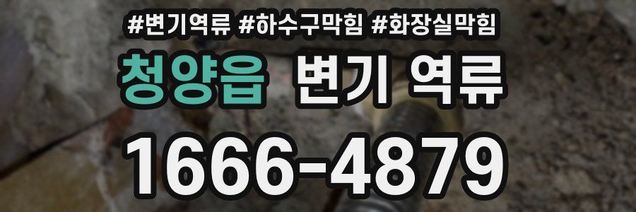 청양읍 변기 역류