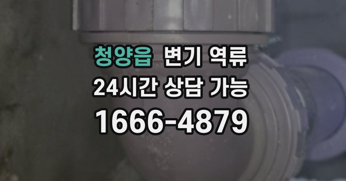 청양읍 변기 역류