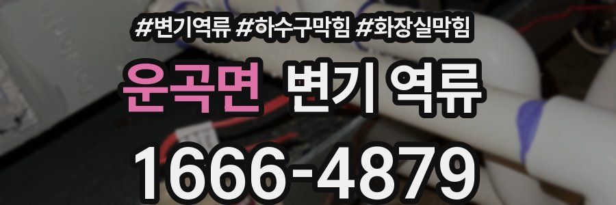 운곡면 변기 역류