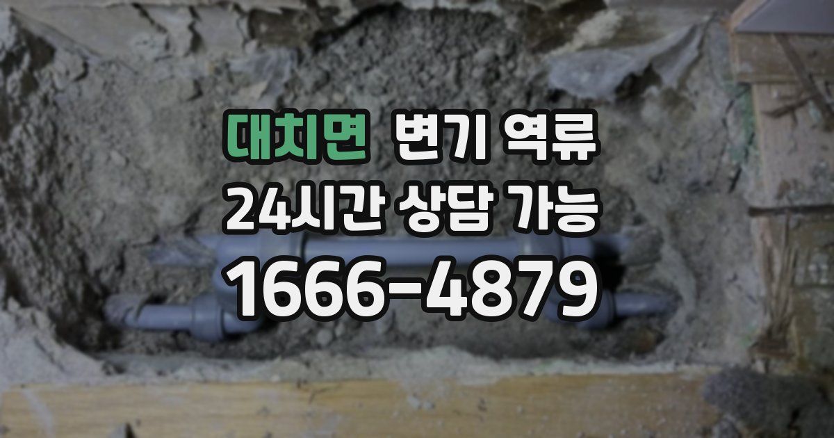 대치면 변기 역류