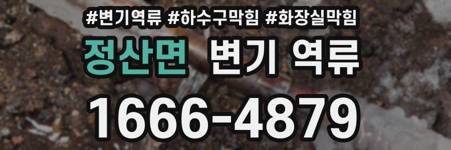 정산면 변기 역류