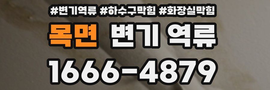 목면 변기 역류