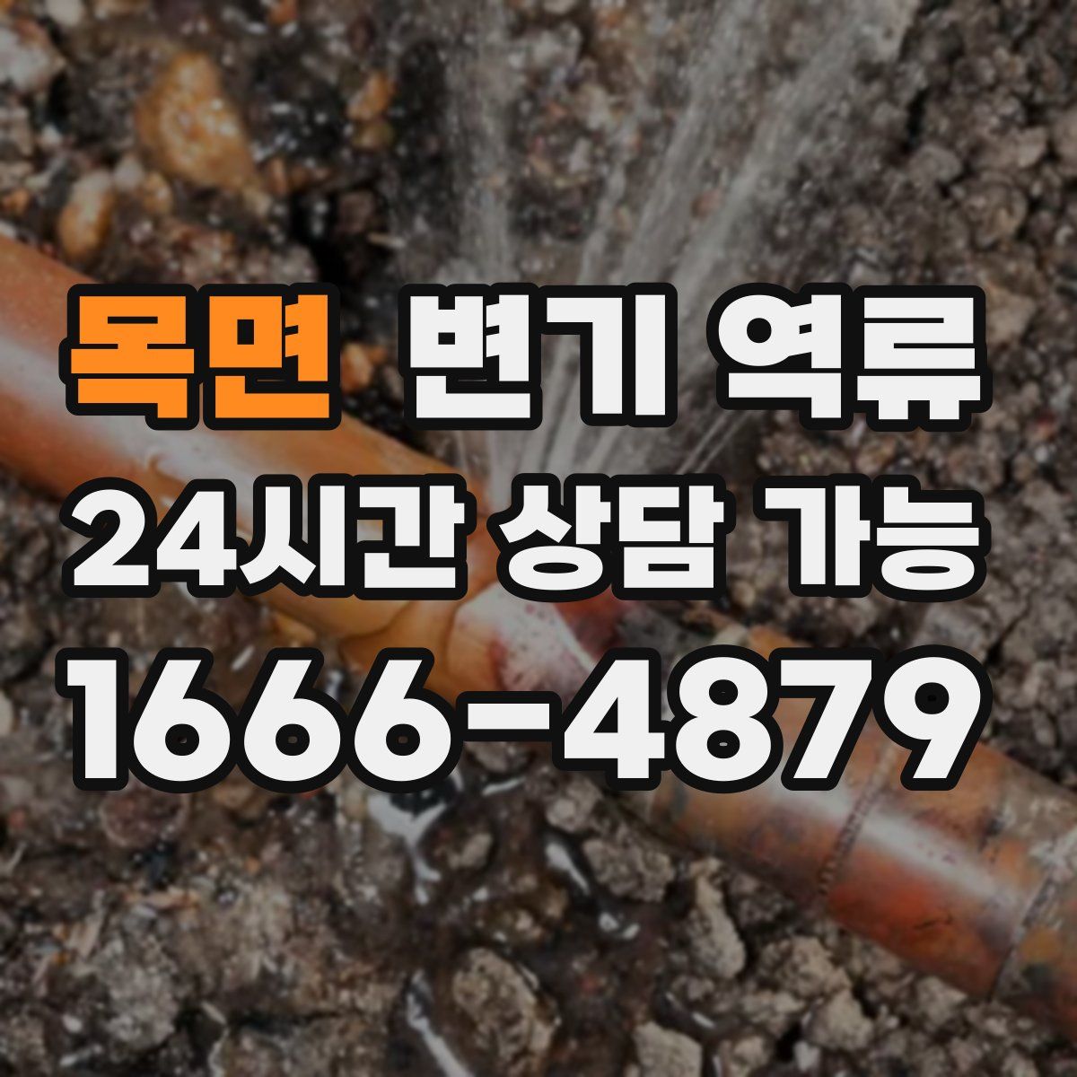 목면 변기 역류