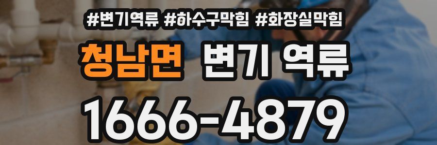 청남면 변기 역류