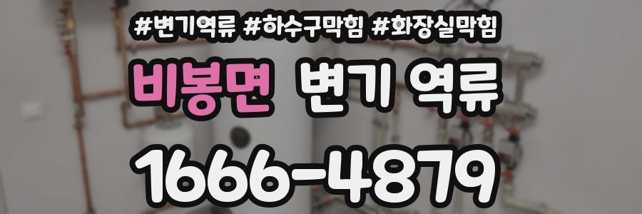 비봉면 변기 역류