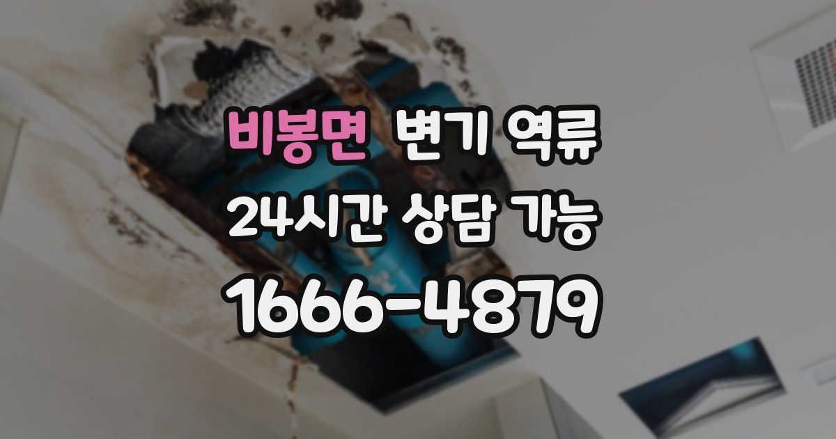 비봉면 변기 역류