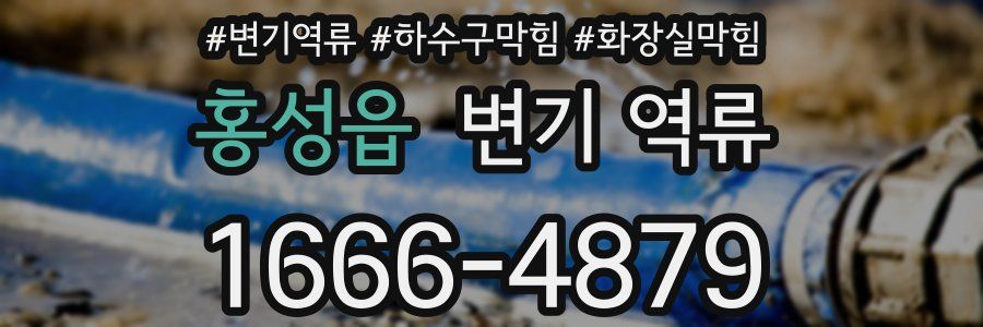 홍성읍 변기 역류