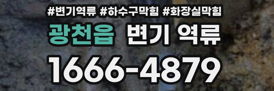 광천읍 변기 역류