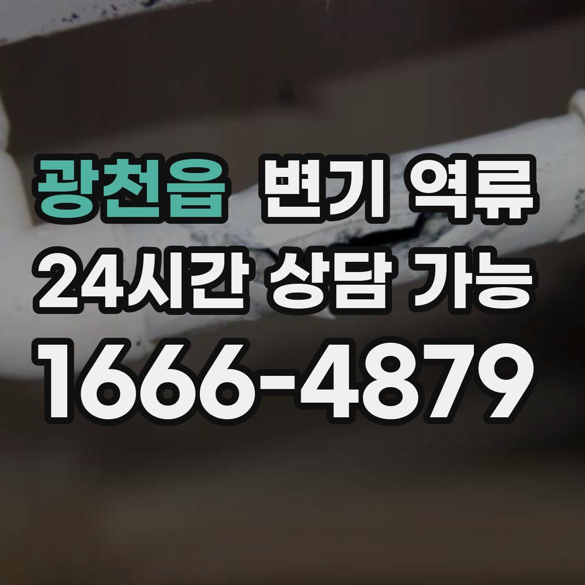 광천읍 변기 역류