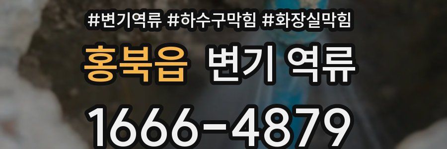 홍북읍 변기 역류