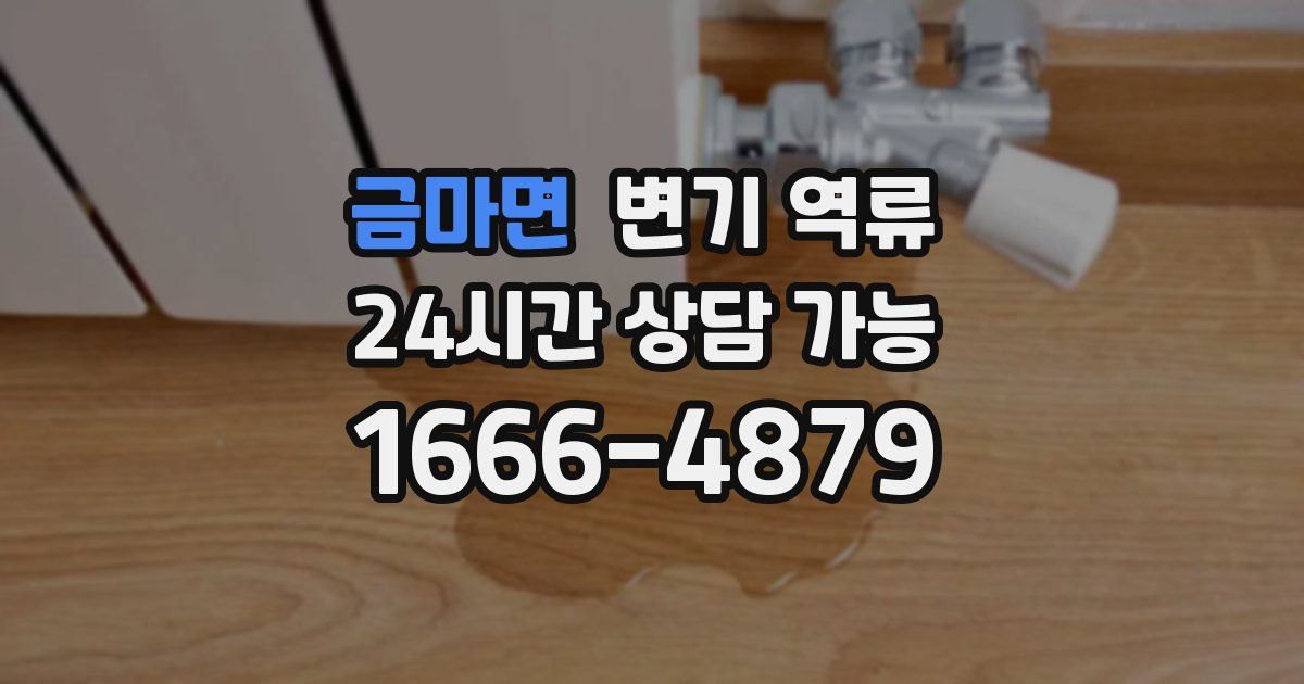 금마면 변기 역류