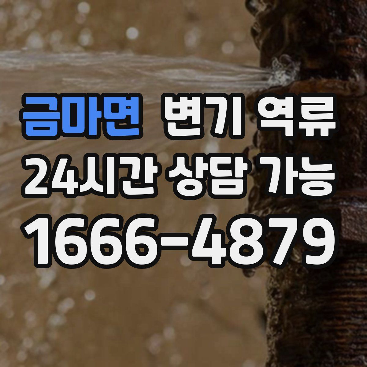 금마면 변기 역류