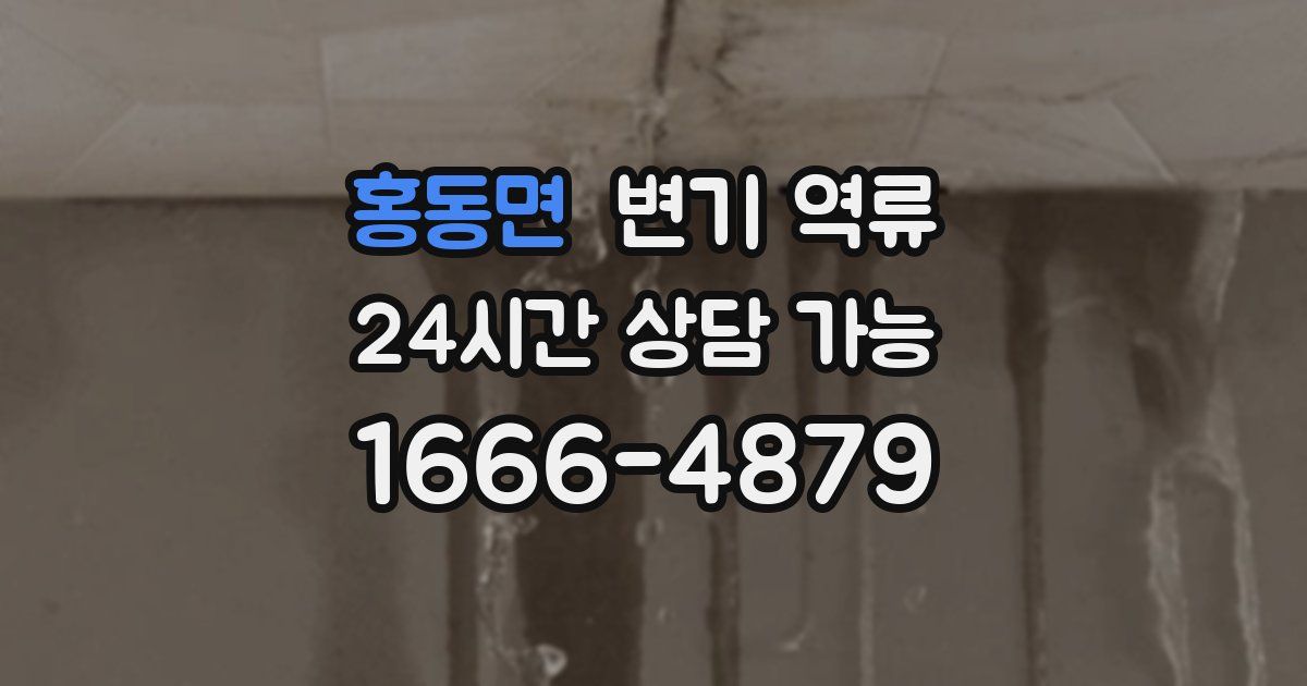 홍동면 변기 역류