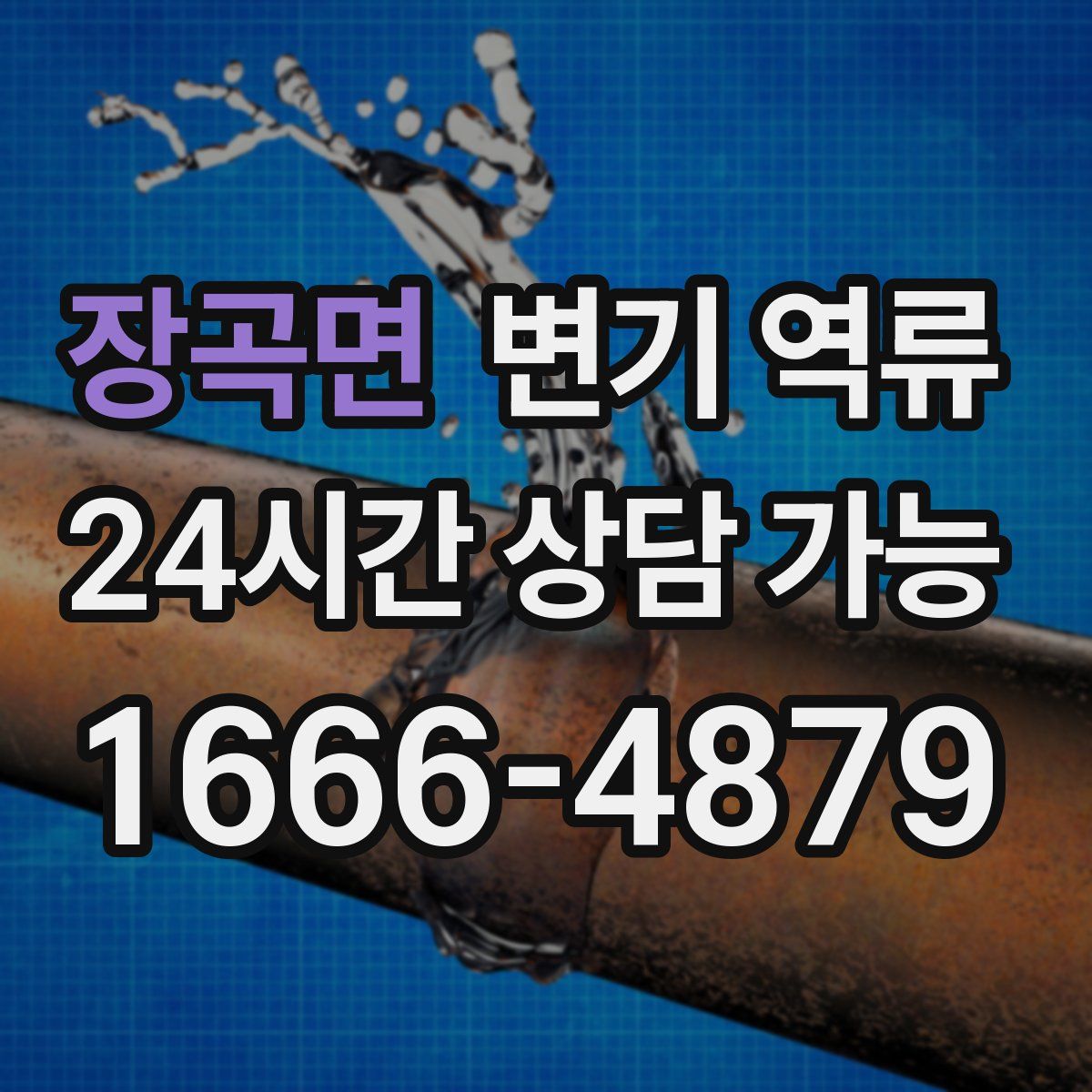 장곡면 변기 역류