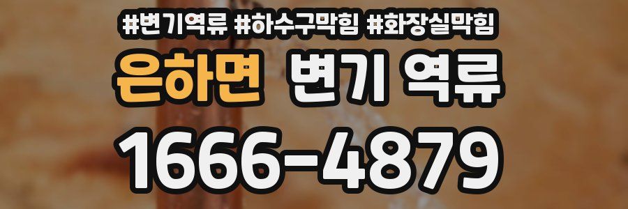 은하면 변기 역류