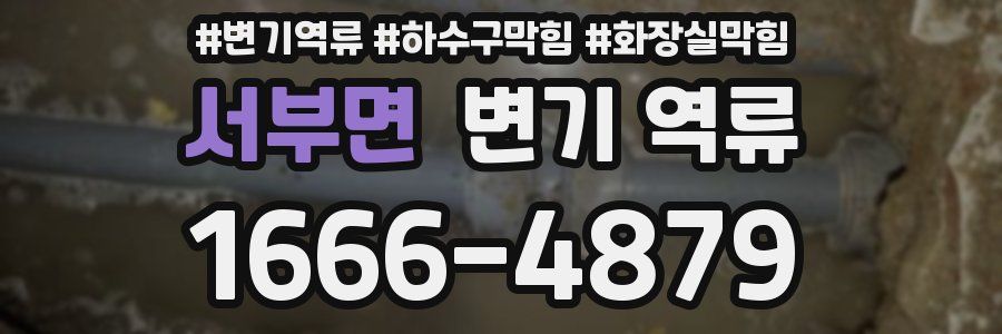 서부면 변기 역류