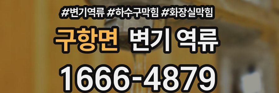 구항면 변기 역류