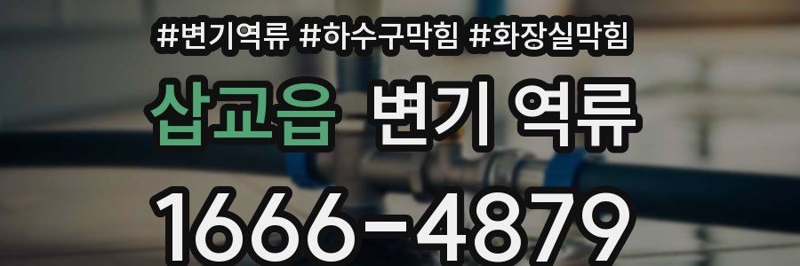 삽교읍 변기 역류