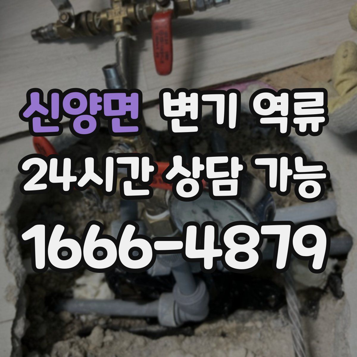 신양면 변기 역류