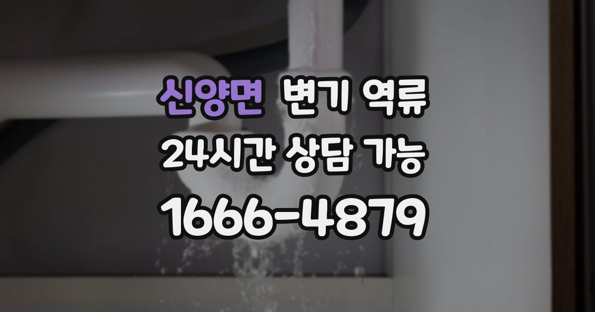 신양면 변기 역류