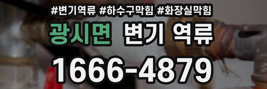 광시면 변기 역류