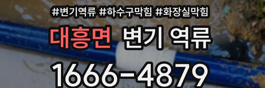 대흥면 변기 역류