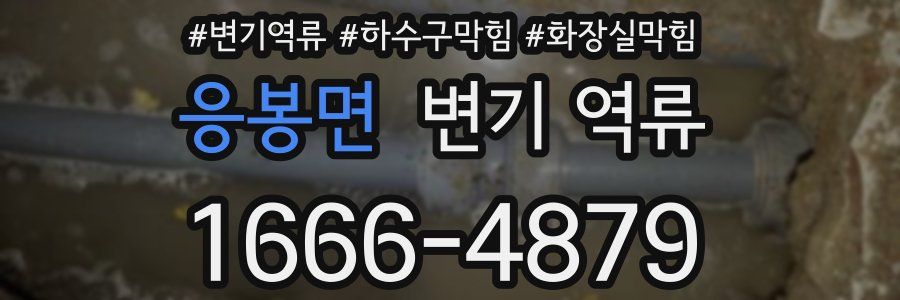 응봉면 변기 역류