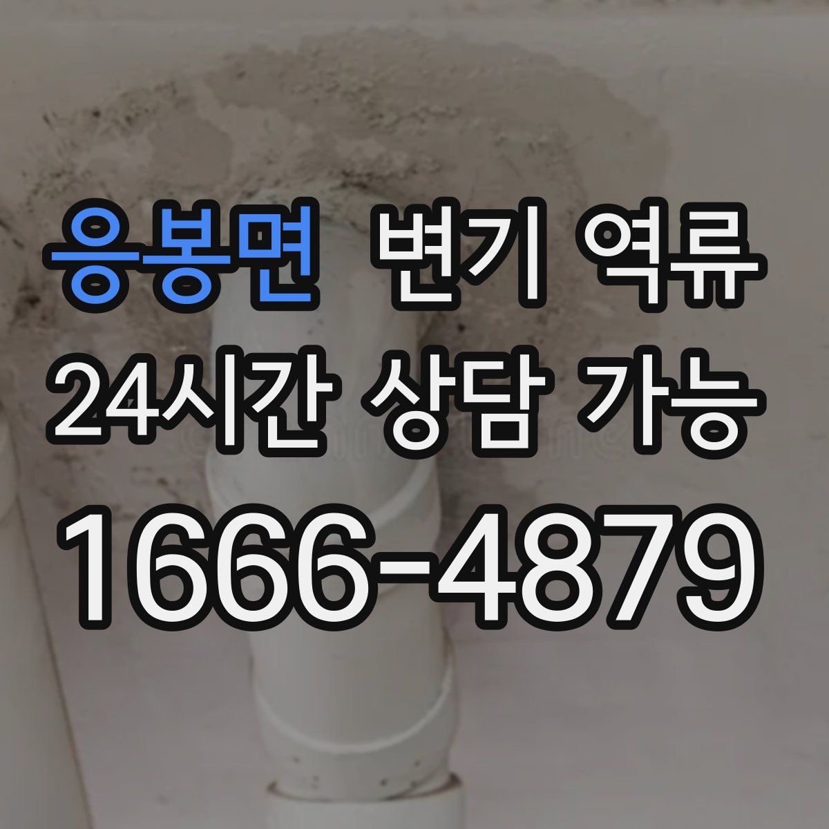 응봉면 변기 역류