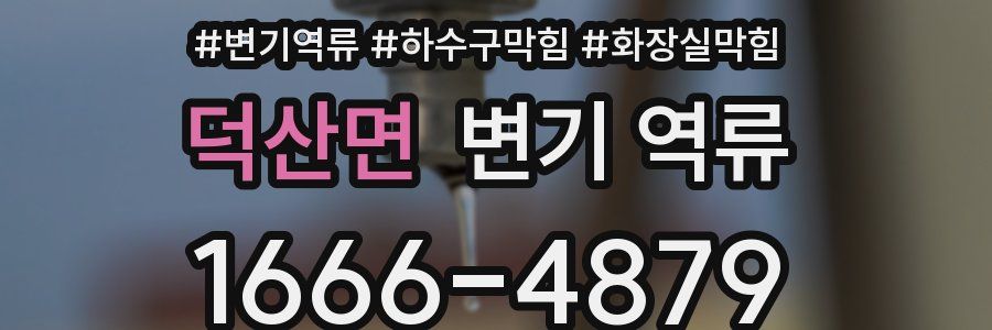 덕산면 변기 역류