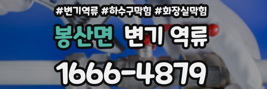 봉산면 변기 역류