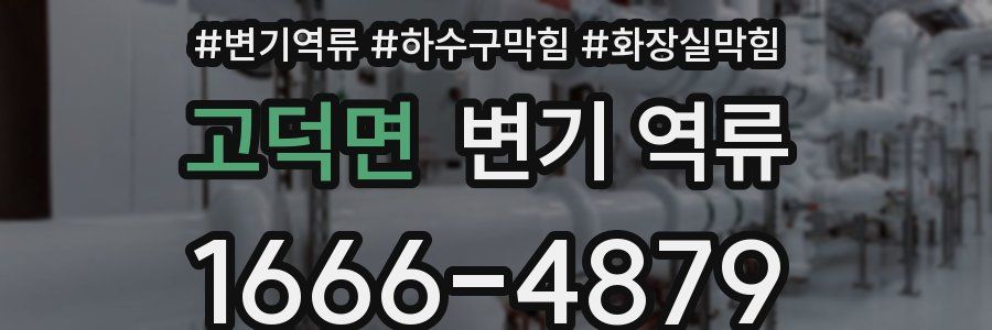 고덕면 변기 역류